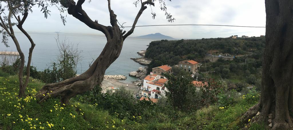 Villa Rosmary - Sorrento Coast - Gulf Of Naples View Екстер'єр фото