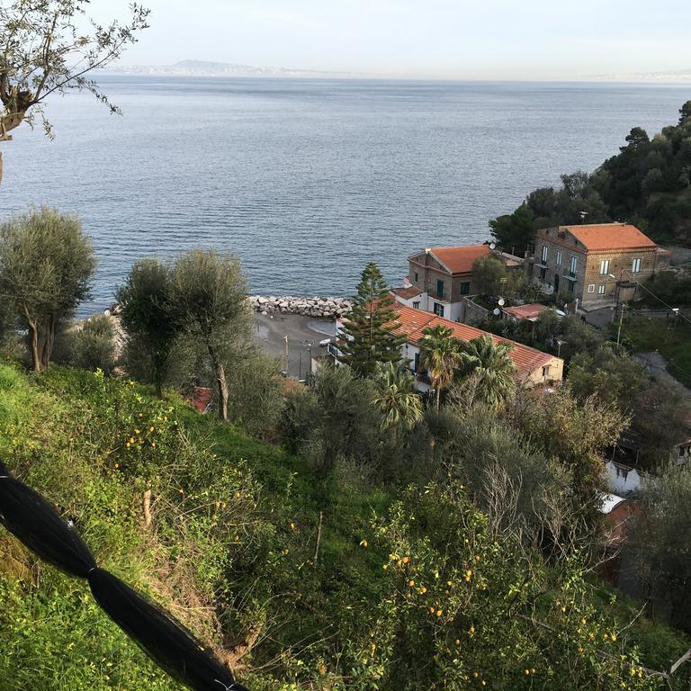 Villa Rosmary - Sorrento Coast - Gulf Of Naples View Екстер'єр фото