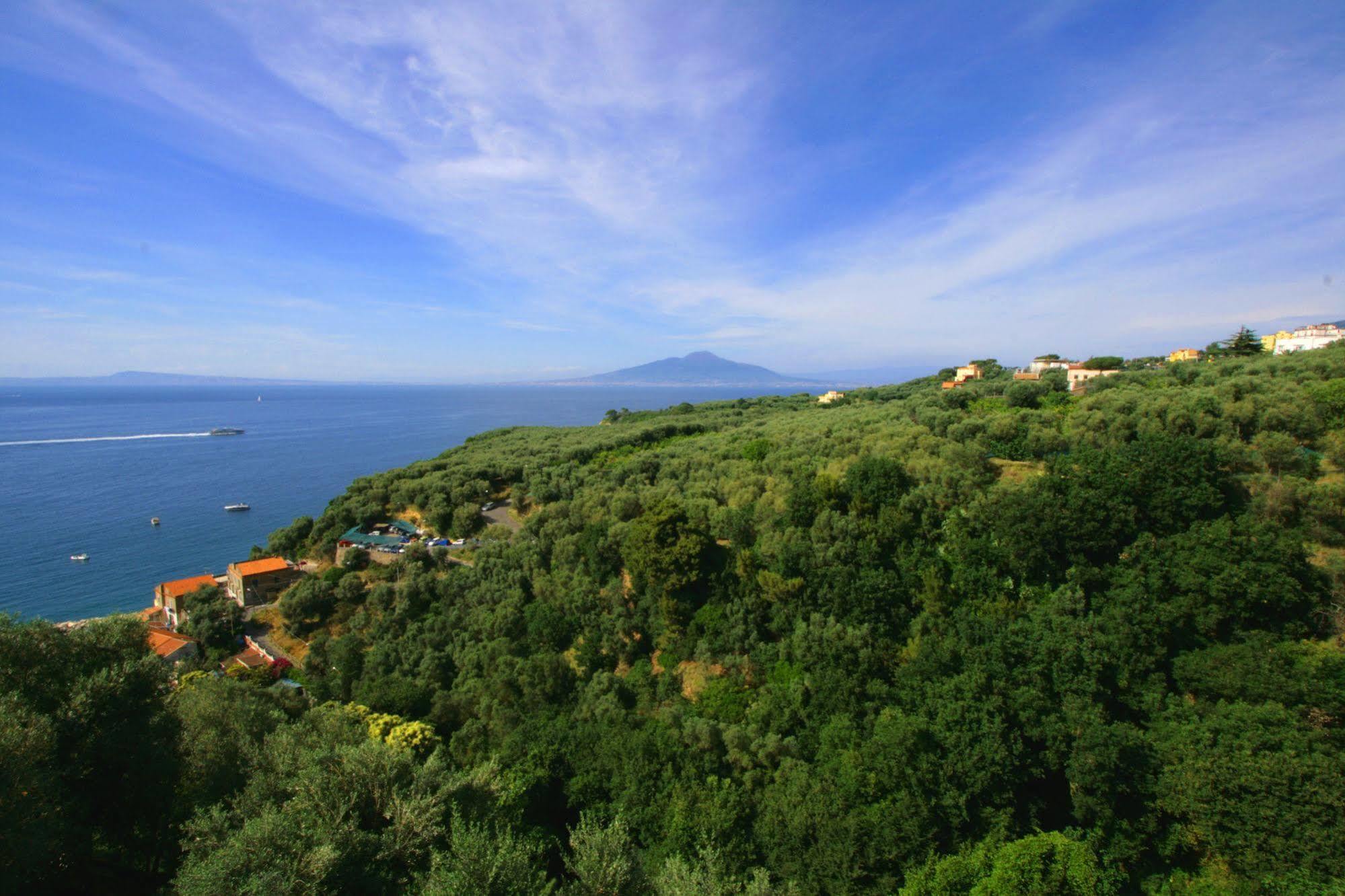 Villa Rosmary - Sorrento Coast - Gulf Of Naples View Екстер'єр фото
