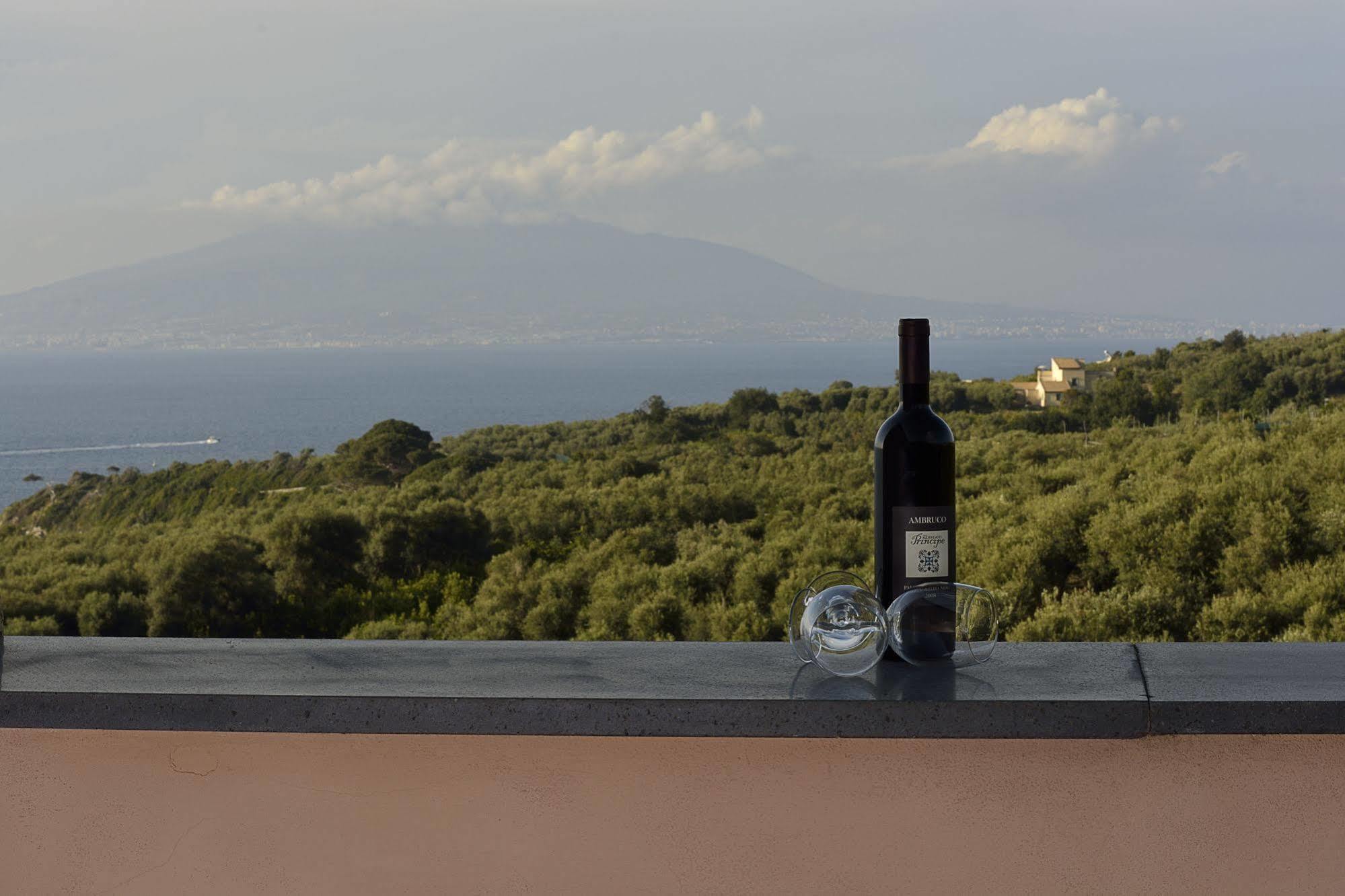 Villa Rosmary - Sorrento Coast - Gulf Of Naples View Екстер'єр фото