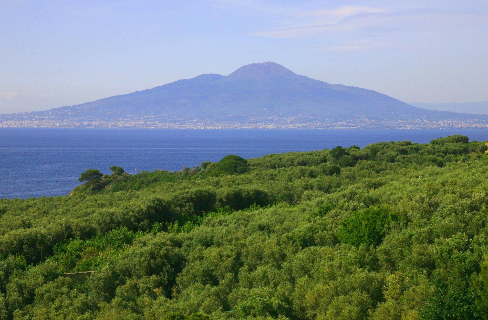 Villa Rosmary - Sorrento Coast - Gulf Of Naples View Екстер'єр фото